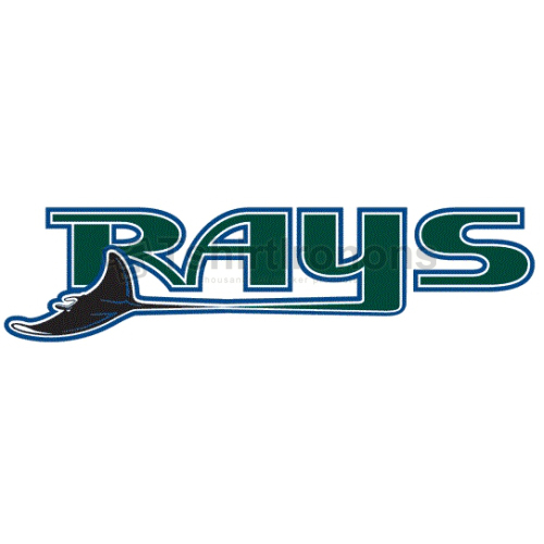 Tampa Bay Rays T-shirts Iron On Transfers N1952